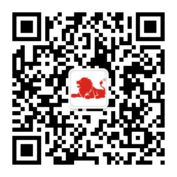 风速体育官方网站图片